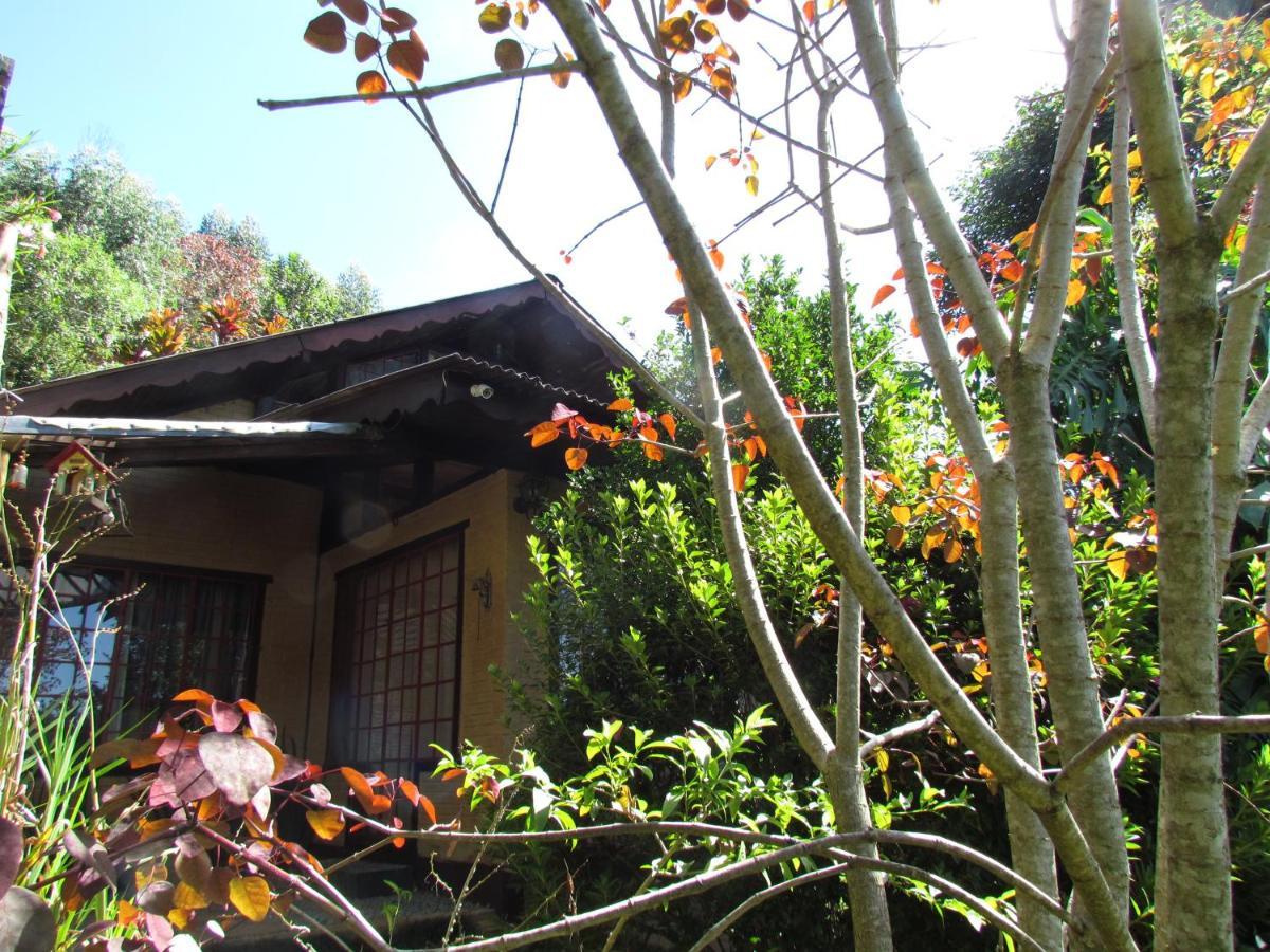 Chalet Chale Pakere Montanha: Mountain Retreat With Fireplace And Natural Spring *